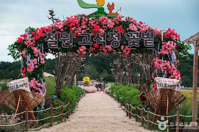 철원 고석정국민관광지: 자연과 역사를 동시에 즐기기 좋은 명소 17