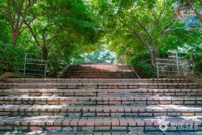Hagil Sports Park Guide - image 5