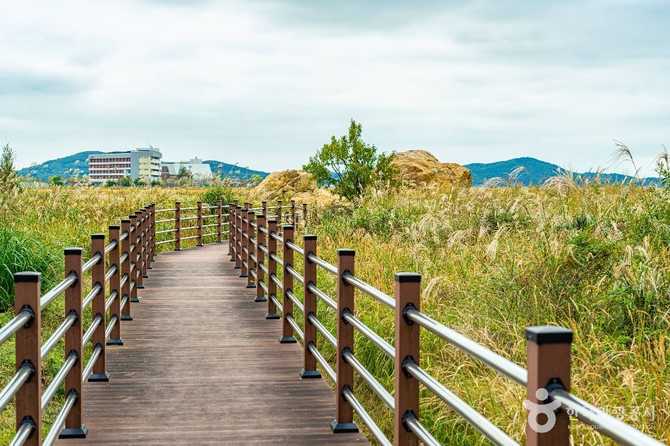 경기도 화성 우음도: 공룡알 화석과 자연경관의 매력 7