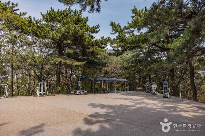 부산 에덴공원: 자연과 역사를 함께 즐기는 최고의 휴양지 7