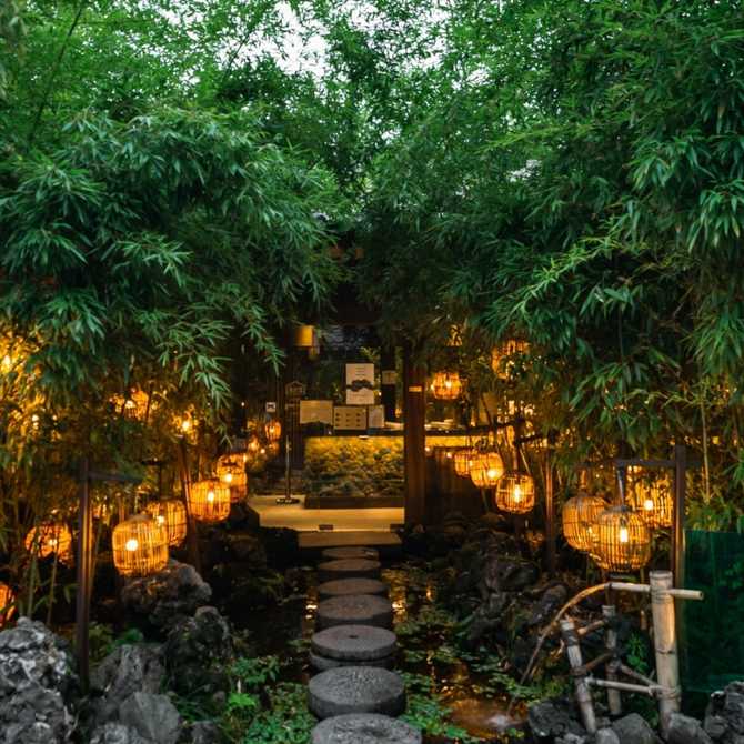 Experience Traditional Hanok and Modern - image 4