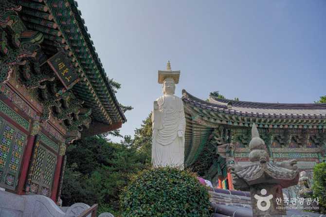 부산 기장 해광사 소개와 방문 정보 | 바다와 역사를 품은 작은 사찰 6