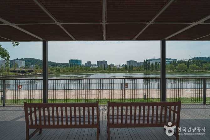 서울식물원 호수공원: 자연과 휴식을 동시에 즐기는 도심 속 생태공원 6