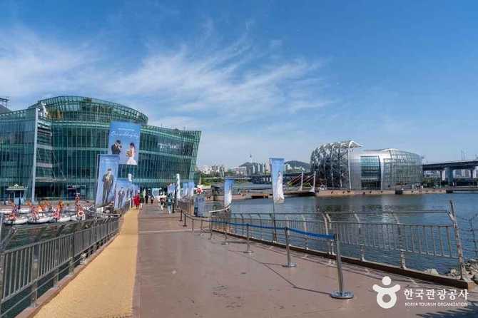Discover Banpo Hangang Park - image 7