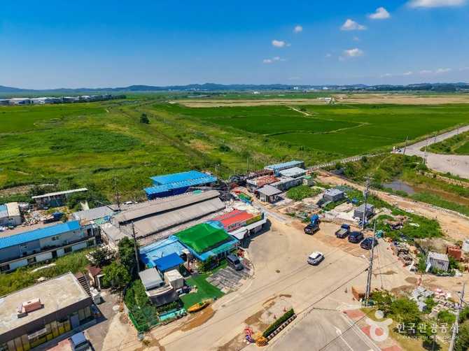 Discover the Charm of Seonchang - image 6