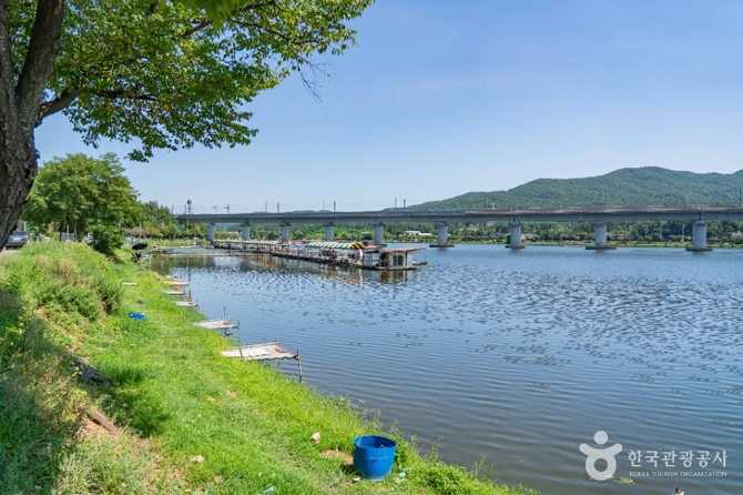 경기도 화성시 어천저수지 가볼 만한 자연 명소와 낚시 장소 안내 6