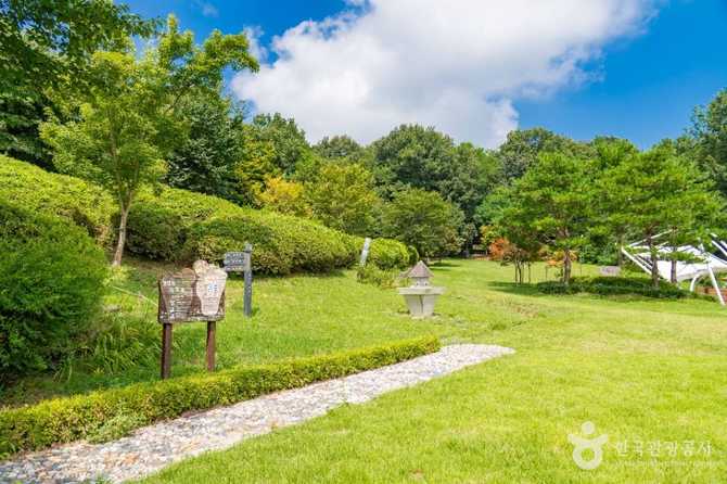 Discover Green Forest Healing at - image 8