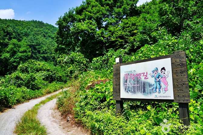 Discover the Historic and Scenic - image 9
