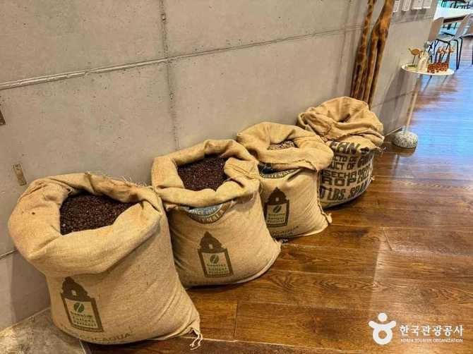 양양 카페 로그: 숲 전망과 다양한 도서가 있는 북 카페 추천 7