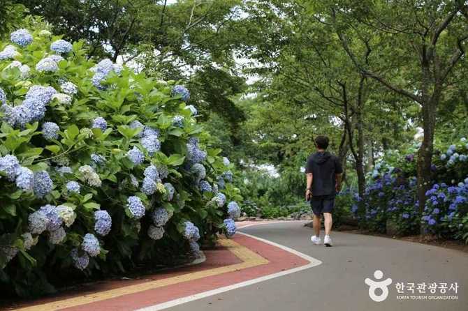 제주동화마을 관광명소 및 체험 정보 가이드 26