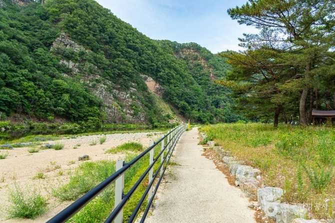 영덕 오천솔밭유원지: 자연과 캠핑을 동시에 즐기기 좋은 명소 7