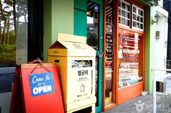 지구를 위한 노래: 친환경 비건 카페와 생태주의 마켓 소개 7