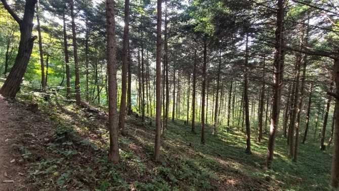 서울둘레길 10코스 우면산길 가이드 및 체험 정보 9