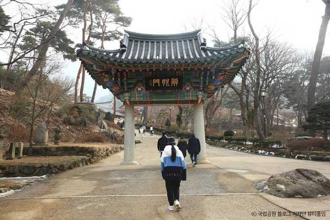 Discover the Best Hiking Trail - image 8