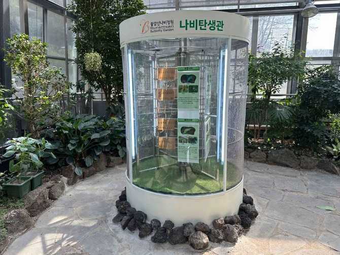 서울 노원구 불암산나비정원 방문 가이드 및 체험 정보 13