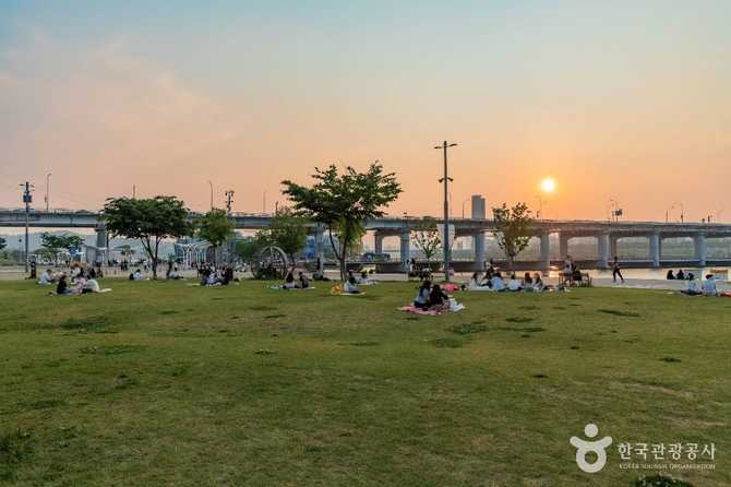 Discover Banpo Hangang Park - image 10
