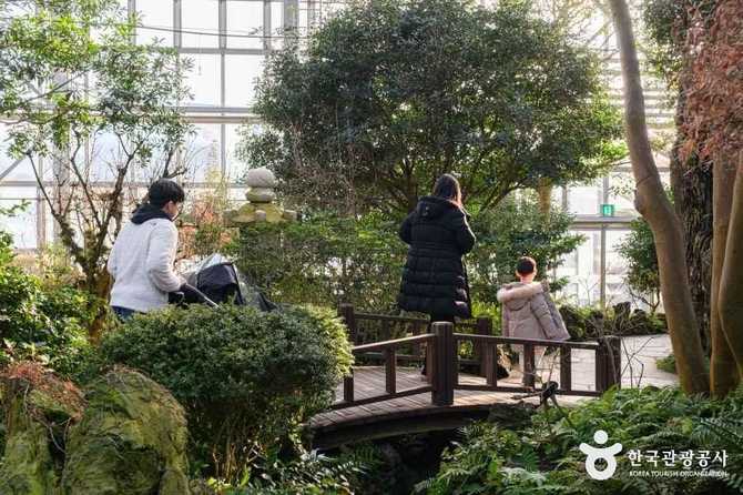 화성시 우리꽃식물원 가볼 만한 곳, 사계절 식물 관람과 체험 프로그램 추천 10