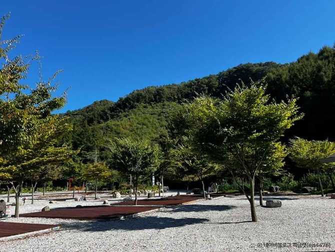 Experience Nature at Jecheon Baegun - image 6
