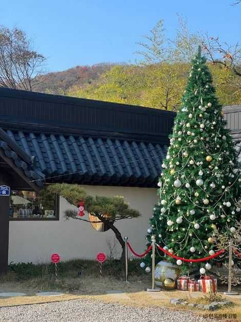 Experience Traditional Hanok and Modern - image 7