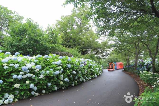제주동화마을 관광명소 및 체험 정보 가이드 27