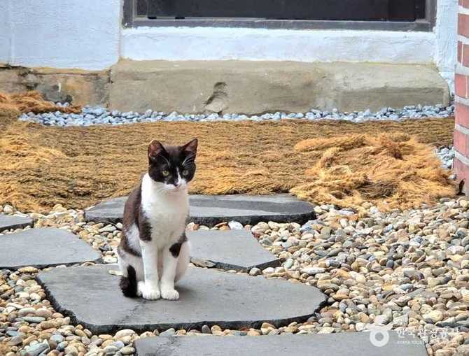 삼척 한옥 카페 보보정, 조용한 분위기와 풍부한 메뉴를 즐기세요 8