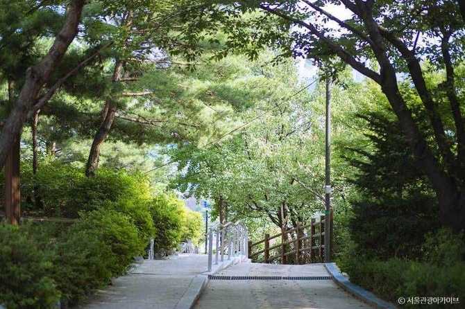 서울 종로구 와룡공원 상세 정보와 방문 팁 8