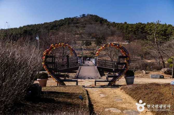 화성시 우리꽃식물원 가볼 만한 곳, 사계절 식물 관람과 체험 프로그램 추천 11