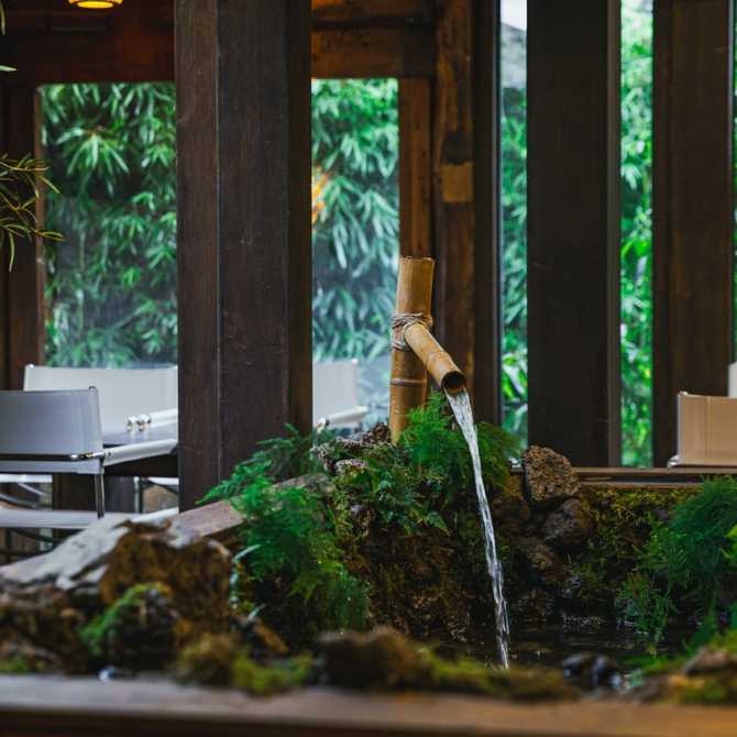 Experience Traditional Hanok and Modern - image 9