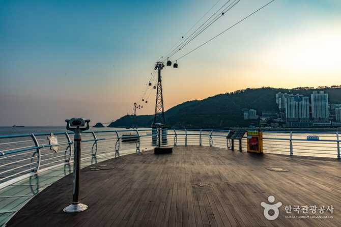 Discover Busan's Cloud Walkway - image 16