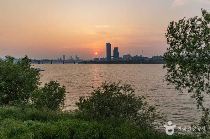 Discover Banpo Hangang Park - image 11