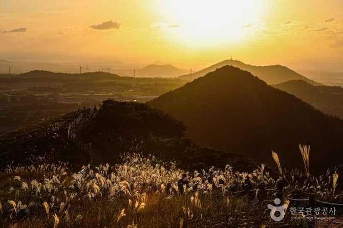 제주 새별오름 가이드: 자연 풍경과 여행 정보 한눈에 15