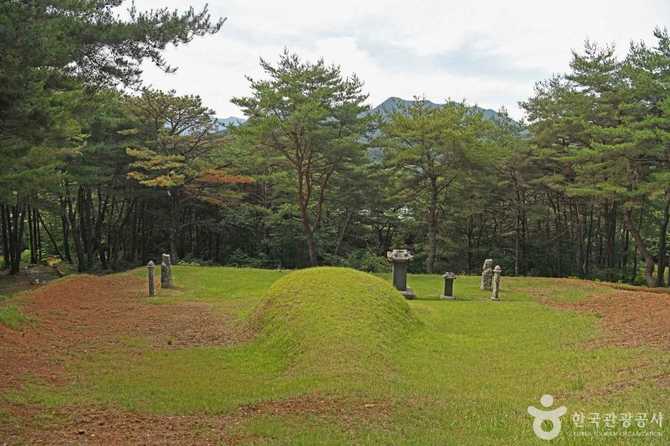 괴산 송시열 유적지: 조선 성리학의 중심지와 역사적 의미 16