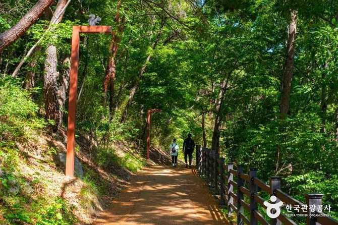 Discover Mugyung's Yongduusan Ecological - image 16