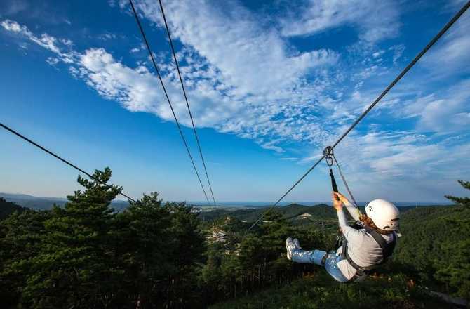 Experience the Best of Korea - image 2