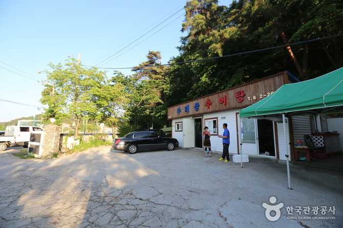 강릉 수리골추어탕 맛집 정보와 추천 메뉴 안내
