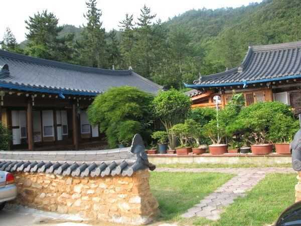 전남 해남군 두륜산 인근 민박, 거목장민박 소개와 예약 정보