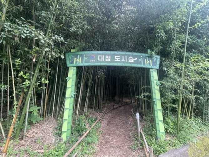 김해 대청계곡 대나무숲: 자연과 휴식을 동시에 즐기기 좋은 명소