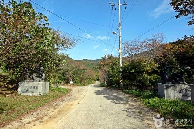 전북 진안 용담섬바위오토캠핑장, 자연과 함께하는 힐링 캠핑 명소