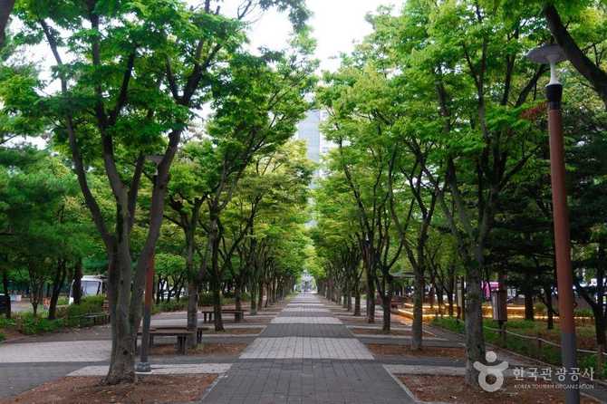 대전 보라매공원: 도심 속 힐링과 문화행사 공간 안내