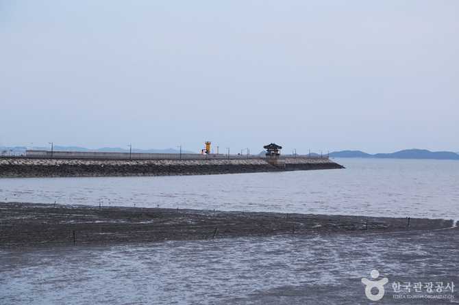 경기도 화성 궁평리 해수욕장 가는 법과 체험 정보