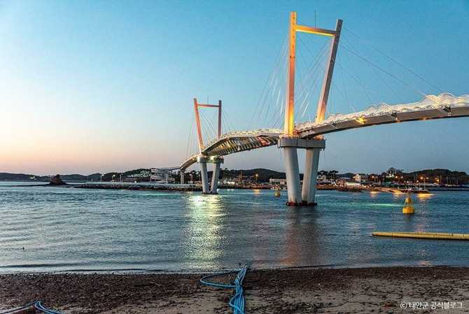 Discover Taian Flower Crab Bridge - image 2