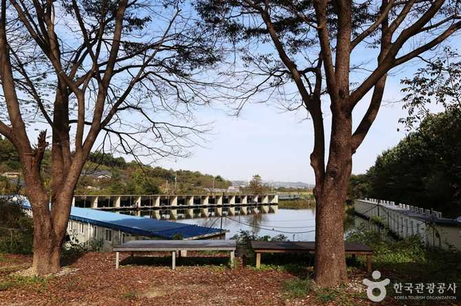 경기도 남양호 인근 당골낚시터 정보와 이용 팁 1