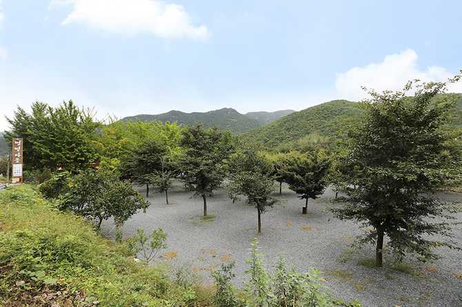 경상북도 청도 별빛마을 캠핑장, 가족과 함께하는 자연 속 휴양지 1