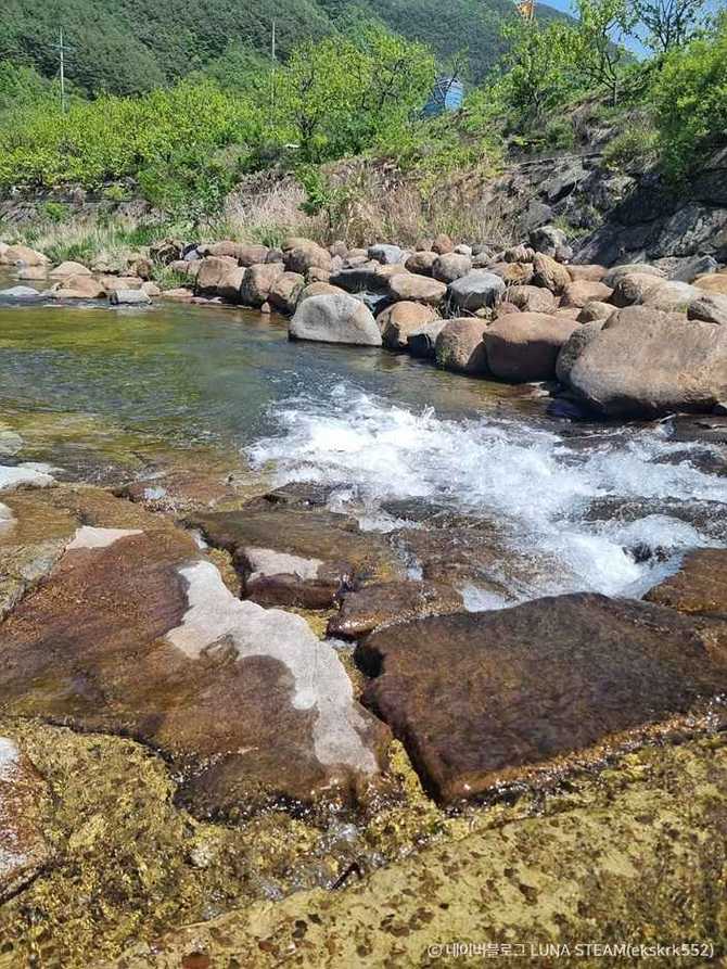 Discover Dapo Forest - image 3