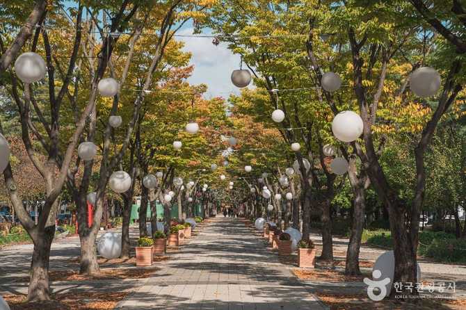 Discover Boramae Park in Daejeon - image 1