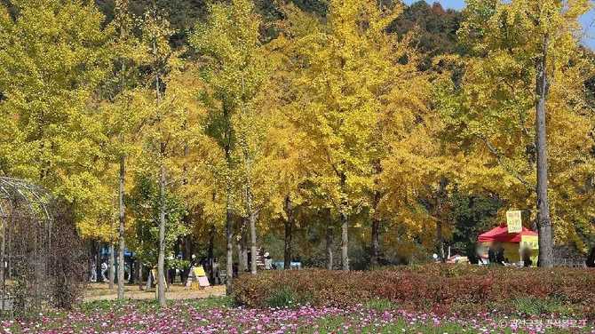 괴산 문광저수지: 자연과 휴식을 동시에 누릴 수 있는 명소 3