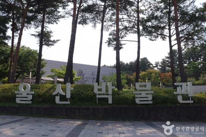 Ulsan Museum Guide - image 3