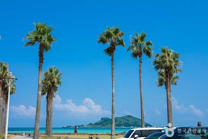 Jeju Geumnung Stone Wall Beach - image 2