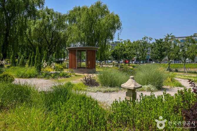 Discover Daegu's Iconic Urban Forest - image 4