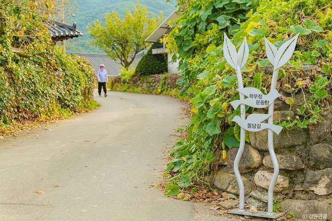 속초 상도문돌담마을 여행 가이드: 아름다운 돌담길과 전통 문화 체험 7
